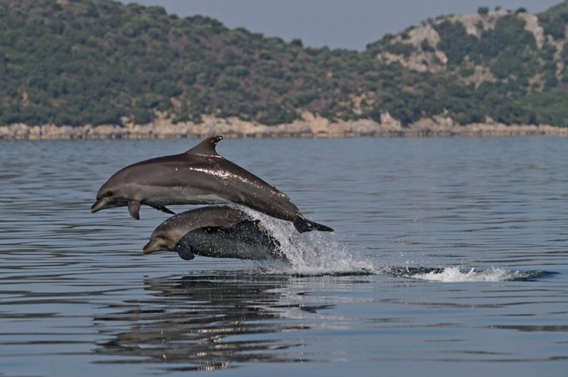 ΠΡΕΒΕΖΑ